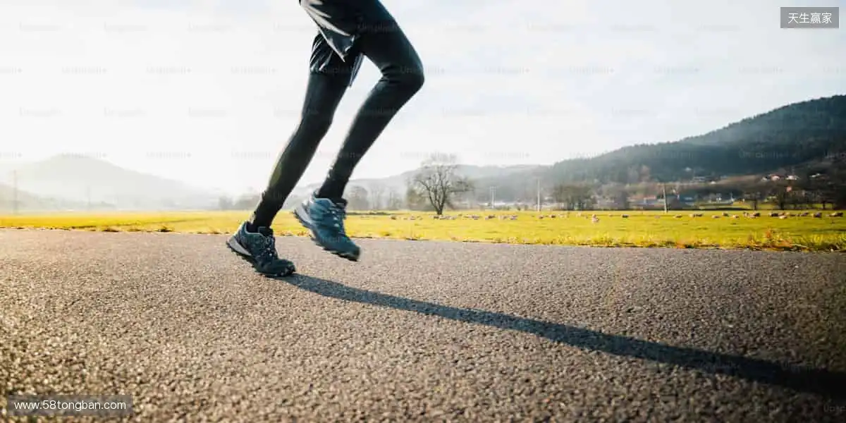 📱 实时比分、精彩回放,